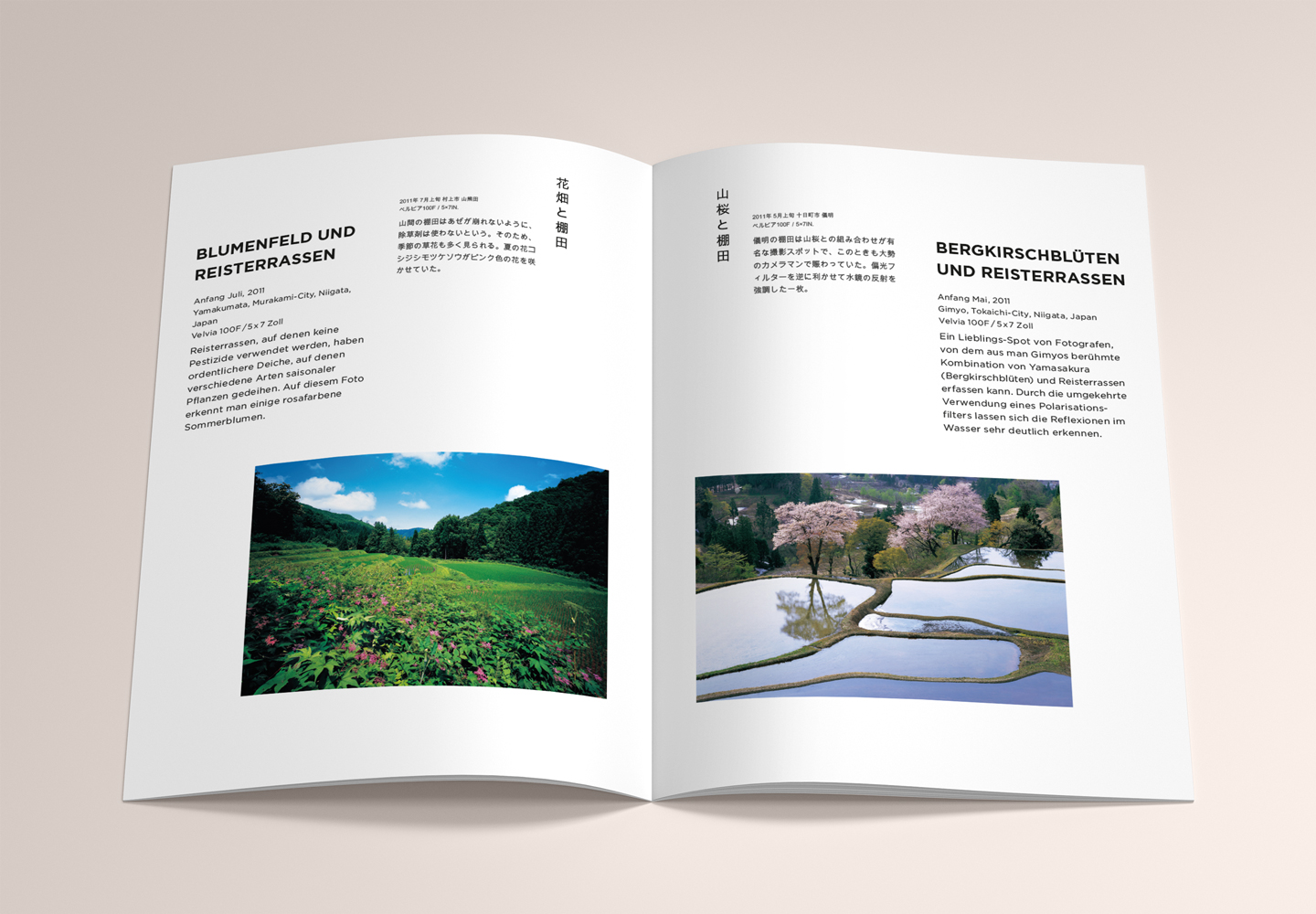 Japanhaus Brochure innen